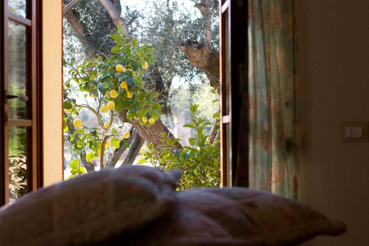 Il Bottaccio Casa Di Campagna Venturina Terme Dış mekan fotoğraf