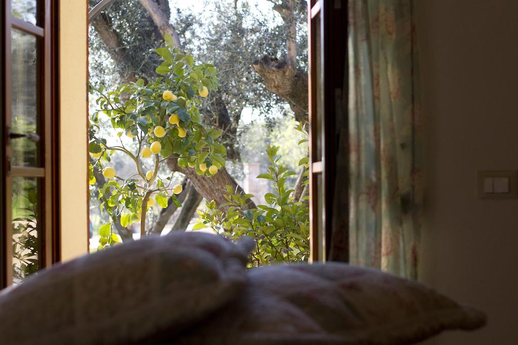 Il Bottaccio Casa Di Campagna Venturina Terme Oda fotoğraf